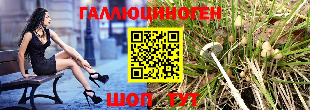 Галлюциногенные грибы Cubensis Урай